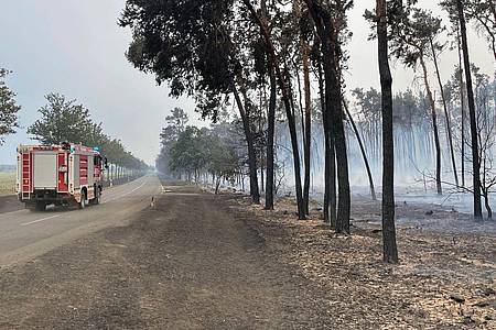 Ein Feuerwehrwagen fährt zwischen Kosilenzien und Nieska im Landkreis Elbe-Elster an einem abgebrannten Wald vorbei.