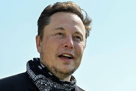 Twitter-Beseitzer Elon Musk lässt Twitter-Nutzer über die Freischaltung gesperrter Accounts abstimmen.