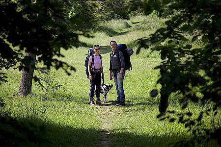Wanderbar Podcast Cover - Jule, Markus und Dalmatinerdame Lily auf einem Wald-Wanderweg